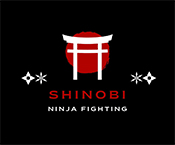 Shinobi Ninja Fighting